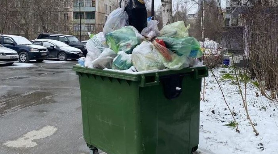 В Новосибирске ввели режим повышенной готовности в связи с критической ситуацией по вывозу мусора