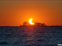 Новосибирцы наблюдали частичное солнечное затмение