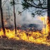 Служба МЧС призывает горожан проявить бдительность в пожароопасный период