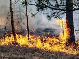 Служба МЧС призывает горожан проявить бдительность в пожароопасный период