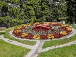 Более 300 000 цветов украсят скверы и транспортные развязки в Новосибирске