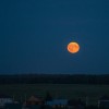 Жители Новосибирска 8 ноября смогут наблюдать полное лунное затмение