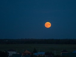 Жители Новосибирска 8 ноября смогут наблюдать полное лунное затмение