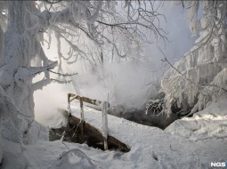 Житель Новосибирска погиб из-за падения в кипяток с моста