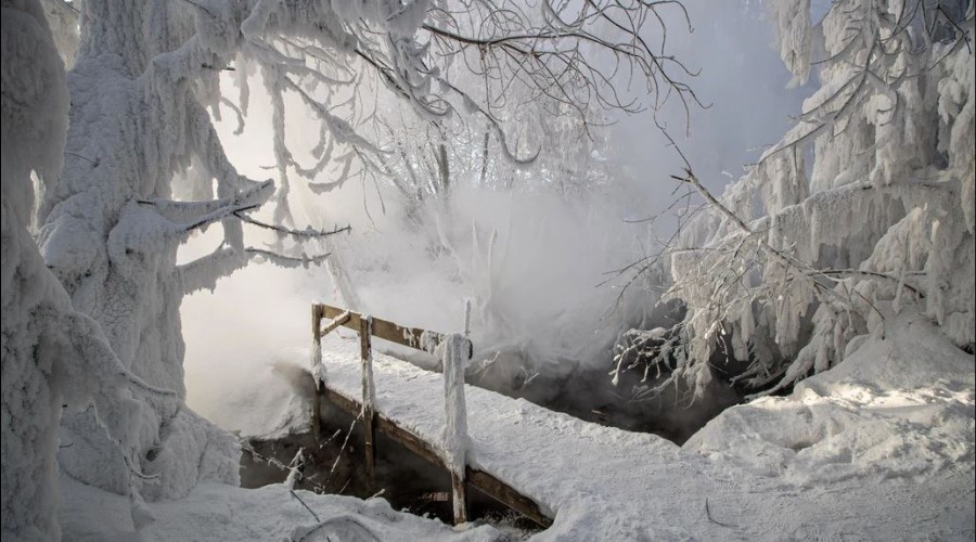 Житель Новосибирска погиб из-за падения в кипяток с моста